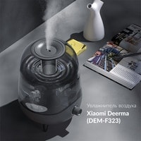 Deerma DEM-F323W (международная версия) Image #3