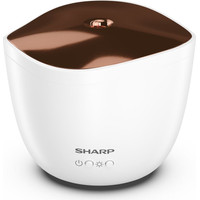 Sharp DF-A1E-W Image #4