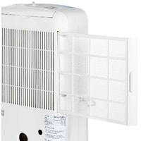 EcoAir DD1 Classic Image #4
