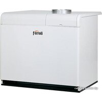 Ferroli Pegasus F3 N 2S 289