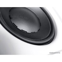 Dynaudio IW 17 Image #4