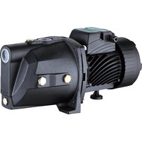 Pumpman TJSW/15M-1