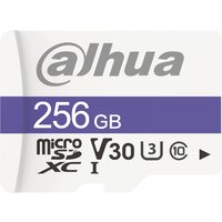 Dahua DHI-TF-C100/256GB Image #1