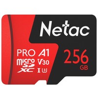 Netac 256GB 500 Extreme Pro NT02P500PRO-256G-R (с адаптером) Image #1