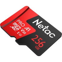 Netac P500 Extreme Pro 256GB NT02P500PRO-256G-S Image #2