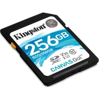 Kingston Canvas Go! SDG/256GB SDXC 256GB Image #2