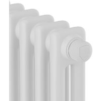 Royal Thermo Insignia VC2180 - 04 секций RAL9016 Image #3