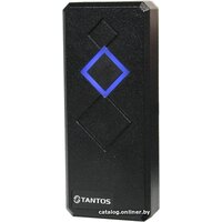 Tantos TS-RDR-E (черный) Image #1