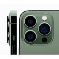 Apple iPhone 13 Pro Max 256GB (альпийский зеленый) Image #3