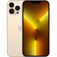 Apple iPhone 13 Pro Max 128GB Восстановленный by Breezy, грейд A (золотой)