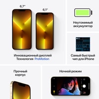 Apple iPhone 13 Pro Max 128GB Восстановленный by Breezy, грейд A (золотой) Image #7
