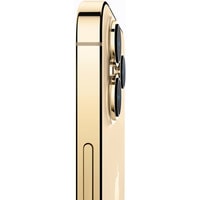 Apple iPhone 13 Pro Max 1TB (золотой) Image #2