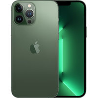 Apple iPhone 13 Pro Max 128GB (альпийский зеленый)