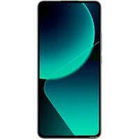 Xiaomi 13T 12GB/256GB международная версия (зеленый луг) - Уценка- Грейд С Image #9