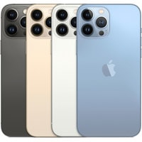 Apple iPhone 13 Pro Max 1TB (серебристый) Image #4