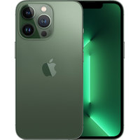 Apple iPhone 13 Pro 1TB (альпийский зеленый)