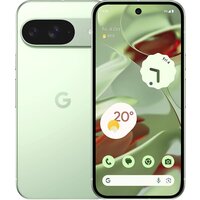 Google Pixel 9 12GB/256GB (винтергрин)