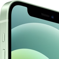 Apple iPhone 12 Dual SIM 256GB (зеленый) Image #5