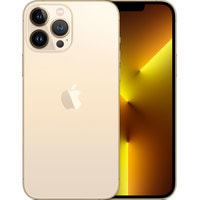 Apple iPhone 13 Pro Max 128GB (золотой) Image #1