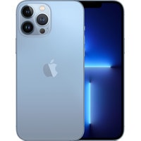 Apple iPhone 13 Pro Max 512GB (небесно-голубой)