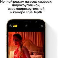 Apple iPhone 12 Pro Max 256GB Восстановленный by Breezy, грейд B (тихоокеанский синий) Image #5