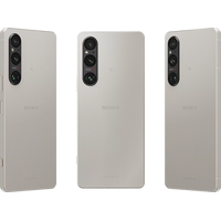 Sony Xperia 1 V XQ-DQ72 12GB/256GB (платиновое серебро) Image #4