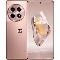 OnePlus Ace 3 16GB/512GB китайская версия (бронзовый) Image #1