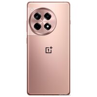 OnePlus Ace 3 16GB/512GB китайская версия (бронзовый) Image #2