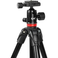 Falcon Eyes R-Line 815 BH Image #5