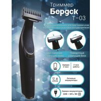 Бердск Т-03