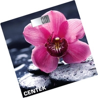 CENTEK CT-2421 (цветок) Image #1