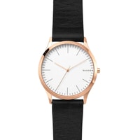 Skagen SKW1102