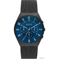 Skagen Grenen SKW6841