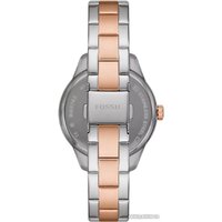 Fossil Rye Multifunction BQ3761 Image #2