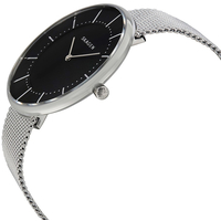 Skagen SKW2561 Image #2