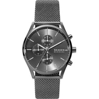 Skagen SKW6608 Image #1