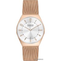 Skagen Grenen SKW6818