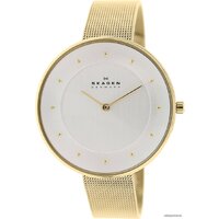 Skagen SKW2141 Image #2