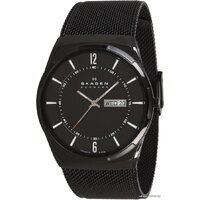 Skagen SKW6006