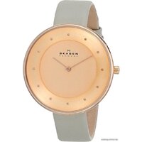 Skagen SKW2139 Image #2