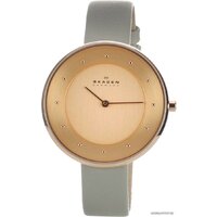 Skagen SKW2139