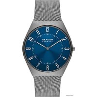 Skagen Grenen SKW6829