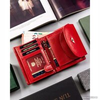 Peterson PTN 405-BO-0120 (красный) Image #7