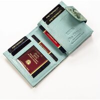 Peterson PTN 42329-SFL (синий) Image #5
