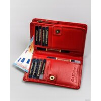 Peterson PTN 2550-BO-6709 (красный) Image #8