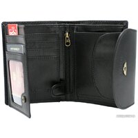 Peterson PTN 405-BO-8052 (черный) Image #2