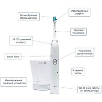 Электрическая зубная щетка Dentalpik Pro 10 - Изображение №3 — Chaika Market
