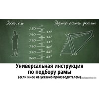 Krakken Admiral 2023 (черный) Image #2