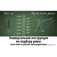 AIST Quest Disc 26 р.13 2020 (черный/серый) Image #2