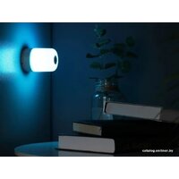 NexTool Multifunctional Light Outdoor Camp (белый) Image #11